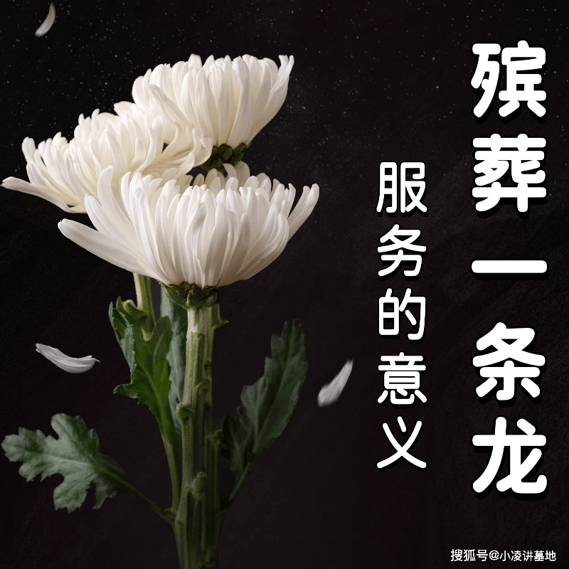 广州老人去世后要办什么手续